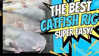 Catfishing a FLOODED Lake! How to Catch Catfish in High Water! (Catch Clean Cook)