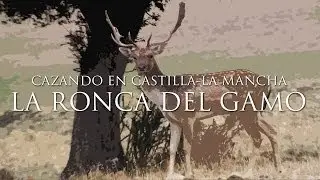 CAZANDO EN CLM. Cap. 07 La Ronca del Gamo