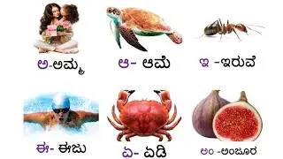 Kannada Alphabets//ಕನ್ನಡ ವರ್ಣಮಾಲೆಗಳು//Kannaḍa varṇamālegaḷu//ಅ ಆ ಇ ಈ ಋ ಎ ಏ ಐ ಒ ಓ ಔ