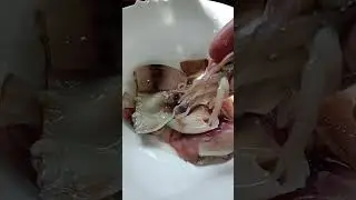 LET'S EAT RAW SQUID [KINILAW NGA LUMYAGAN] #johnalbertcebu #viralvideos #food #video #trendingshorts