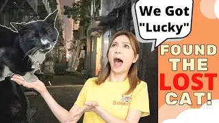 Finding Lost Cat Outside (Thanks to Cat Treats)
