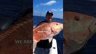 Crazy Day Offshore Fishing For Red Snapper #redsnapper #snapperfishing
