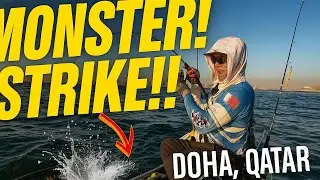 Monster Fish Attack While Kayak Fishing in Doha Qatar! | Epic Strike! #kayak #fishing #amazing 