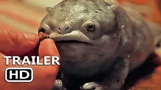 THE CLEANSE Official Trailer (2018)