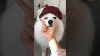 This is very important