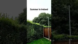 Summer in Ireland #summer  #ireland #googleasistant