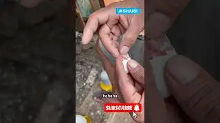 Support hatching egg🐣💪#foryou #pigeon #shorts #youtubeshorts #attitude #egghatching