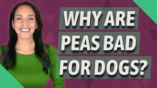 Why are peas bad for dogs?