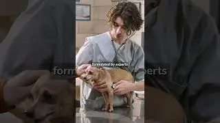 The PetMade difference - because every dog deserves the best! | PetMade