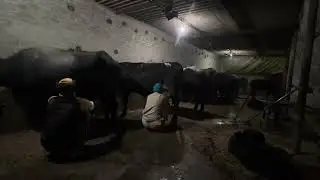 ਸਵੇਰੇ ਉੱਠਦੇ ਇਹਨਾ ਕਰਮਾਂ ਵਾਲੀਆਂ ਚ ਆ ਕੇ ਦਿਲ ਲਗਦਾ 😍