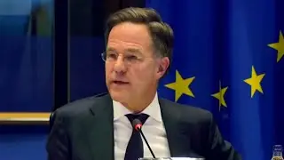 'No America, no security for Europe': NATO boss drops &lsquo;truth bomb&rsquo; on alliance&rsquo;s future