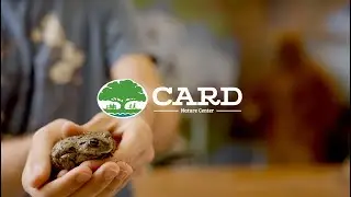 Chico Creek Nature Center | Metric Studios