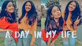 USA Vlog #2: Cooking, shopping, chilling | Happinessity