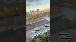 Japan Autumn crzay  view from KKR hotel  osaka jyou)大阪城❤️😘 #vlogs #shortvideo #subscribe