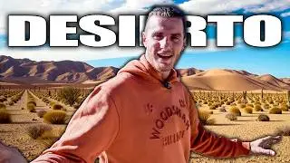 De otro PLANETA🌍: Así es el ÚNICO DESIERTO EUROPEO en ESPAÑA | Almería