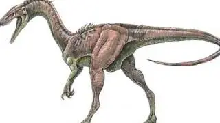Tribute to Coelophysis