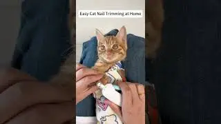 No More Bites! Easy Cat Nail Trimming at Home
