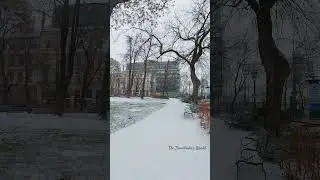 Budapest has became a winter wonderland !