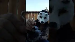 showing crue fur farm and ethical fox/bunny tails