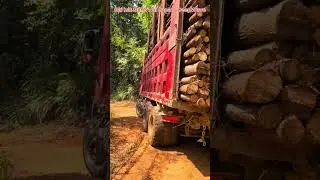 B&agrave;i h&aacute;t Đỉnh N&uacute;i Sapa    DeepWave 002