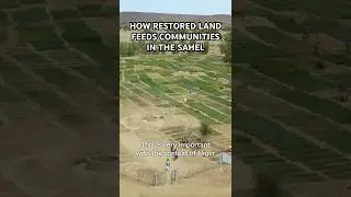 How Restored Land Feeds Communities in the Sahel