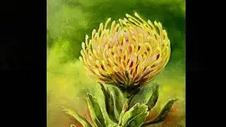 Oil Study No 19 - Project 100 - Yellow Bird Protea