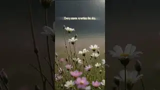 Blossoms in the Rain 🌧️ &ndash; Hope Still Shines