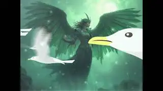 When Morrigan Takes Wing