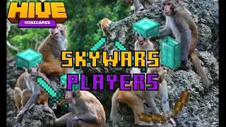 Skywars Players