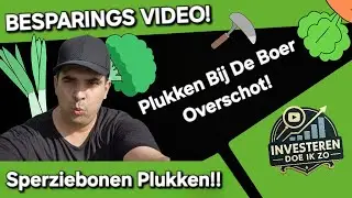 Zelf Sperziebonen Plukken Bij De Boer Was Het De Moeite Waard? En Proeven Revieuw!