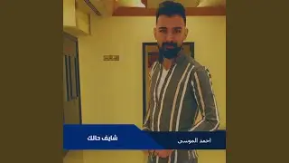 شايف حالك