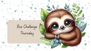 Savings Challenge Boxes