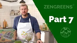 Part 7 - Cress cultivation - Sprouting Video Course