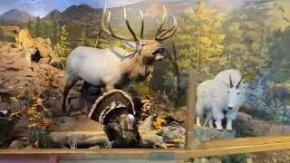 Cripple Creek Heritage Center, Cripple Creek, Colorado - June 2024