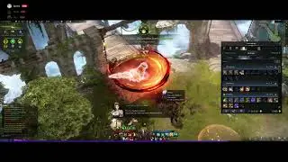Lost Ark Platinum Field GREAT RUN / 로스트아크 플래티넘 필드 그레이트 런