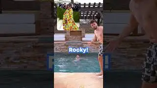 Guess the Rapper or Swim!
