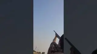 Dove hunting-one shot.