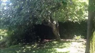 ASMR - My Garden in Chile