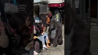 Fake Gorilla Prank