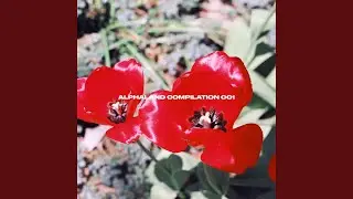 Face Yo Fears (feat. Cjay Hill)