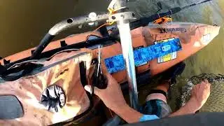 Colorado river fishing trout 2025