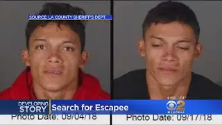 Inmate Worker Escapes From Malibu Sheriff's Station