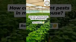 #YearRoundGrowing #ControlledEnvironment #SustainableAgriculture #IndoorGardening #GreenhouseLife