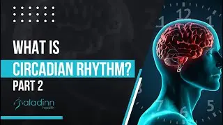 What Is Circadian Rhythm? Know Your Body's Clock (Part 2) | Dr. Medhavi Gautam