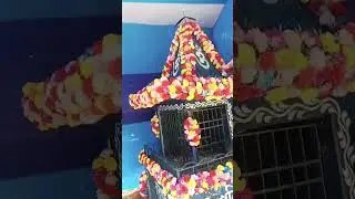 Sony Baba Pooja বাবার পূজা শনি বাবা🪔🚀🌺#shorts #short #religion