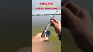 Special Katla bait￼🐟🎣 #shortsfeed #shorts #short #viralshort #katlafishing #trendingshorts #fish