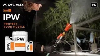 IPW Leaf Wash &mdash; защитите свой бизнес, украсьте листву