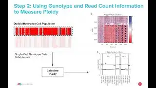 Webinar: Simultaneous analysis of SNVs and CNVs in a single cell