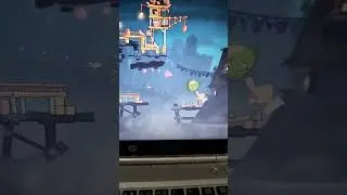 Meet the pig who is cook