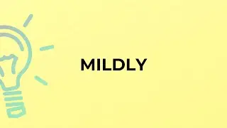 What is the meaning of the word MILDLY?
